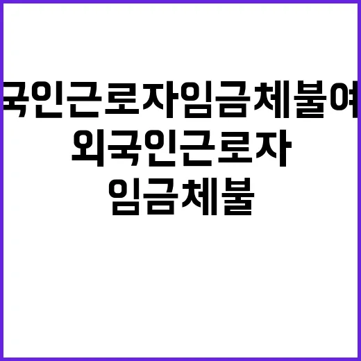 외국인근로자 임금체…