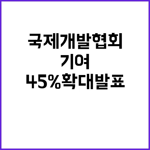 ‘국제개발협회 기여…