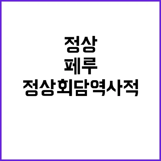 한·페루 정상회담 …