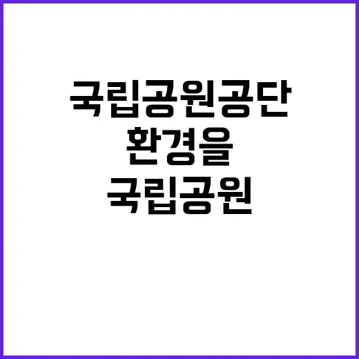 국립공원공단 비정규…