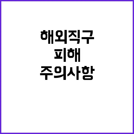 “연말 해외직구 주…