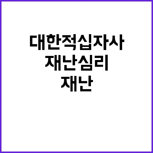 대한적십자사 정규직…