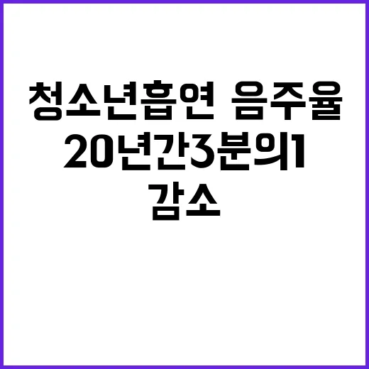 청소년 흡연·음주율 20년 간 3분의 1 감소!