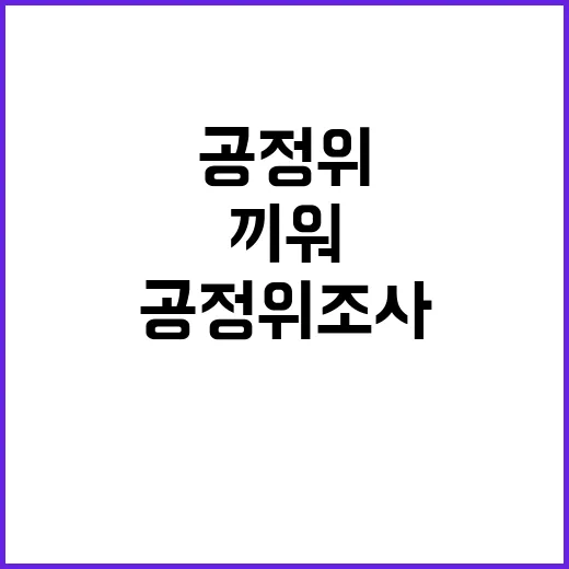 공정위 조사 사실이 아닌 끼워맞추기 주장은?