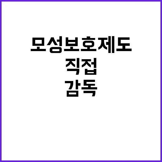 고용부 모성보호 제도 직접 감독 결과 공개!