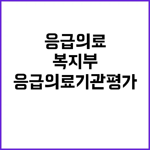 “응급의료기관평가 …