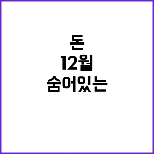 내 돈 12월에 숨어있는 비밀 찾기!