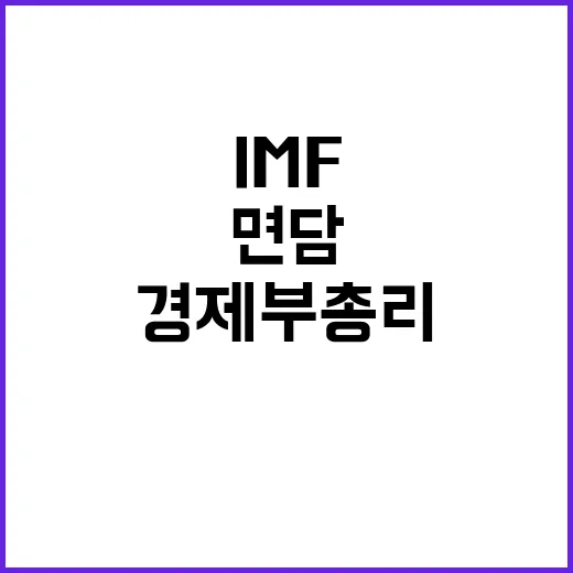 IMF 면담 경제부총리 국가시스템 정상 운영 설명!