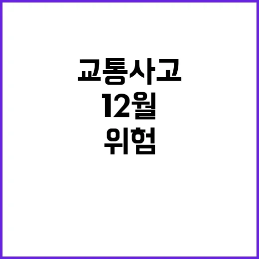 교통사고 절반 12…