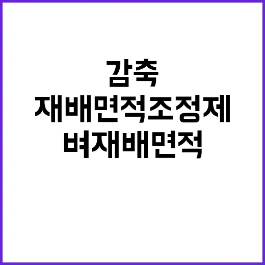 벼 재배면적 조정제…