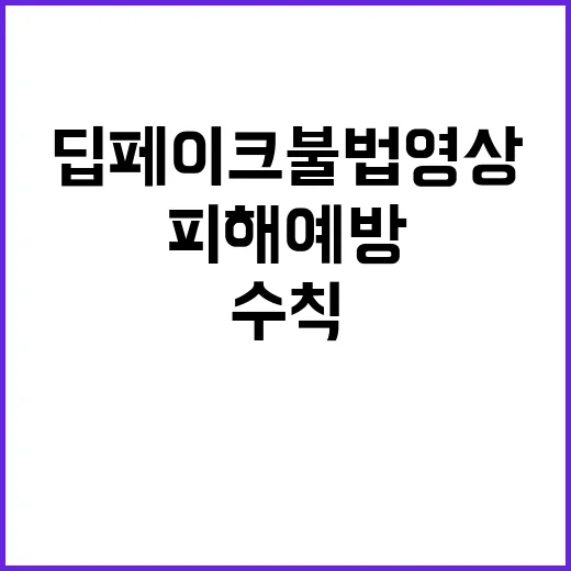 딥페이크 불법영상 …