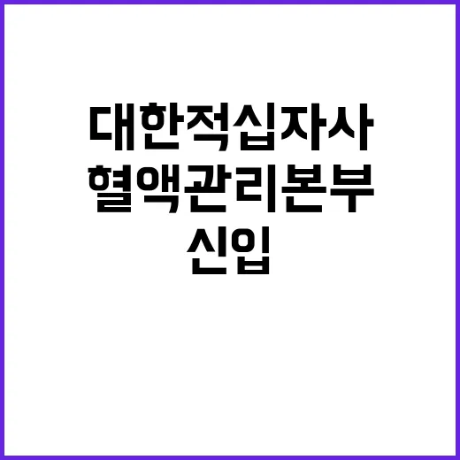 대한적십자사 정규직…