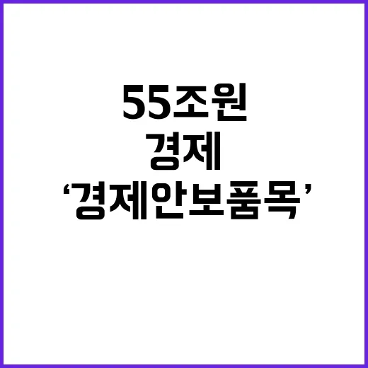 ‘경제안보품목’ 의존도 감소 55조 원 투자!