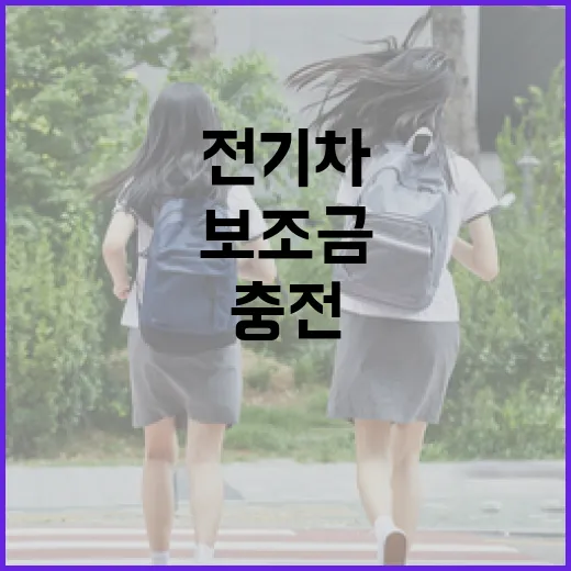 전기차 보조금 주행거리와 충전속도가 관건!