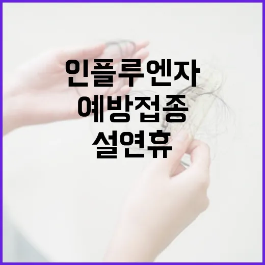 인플루엔자 예방 접종 설 연휴 준비 필수!