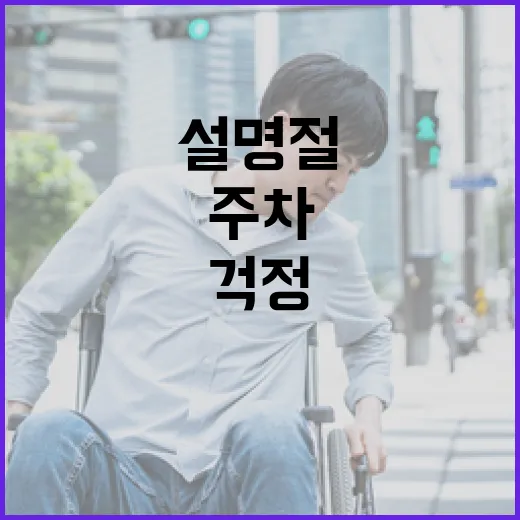 주차 허용 설 명절 걱정 없이 즐기세요!