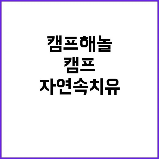 캠프 해놀