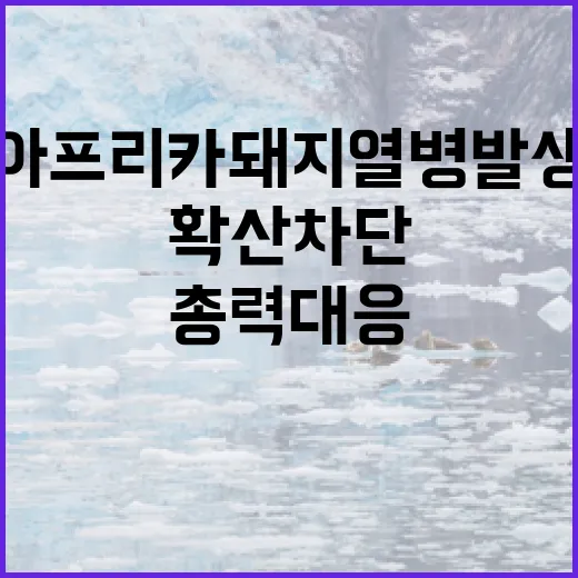 아프리카돼지열병 발생…확산 차단 위한 총력 대응!