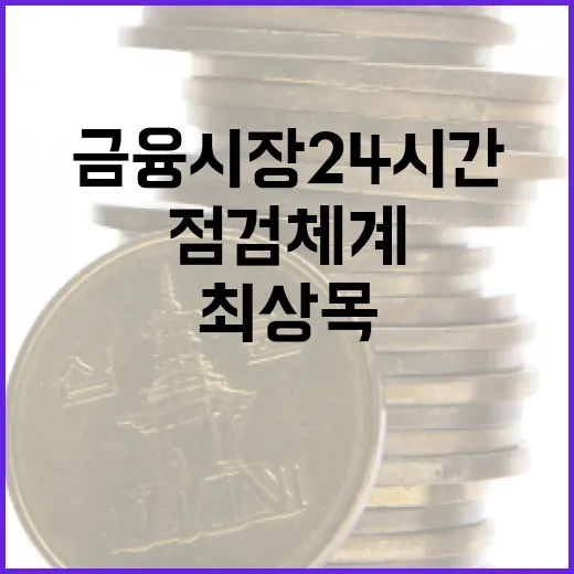 금융시장 24시간 점검체계 유지 최상목 당부!