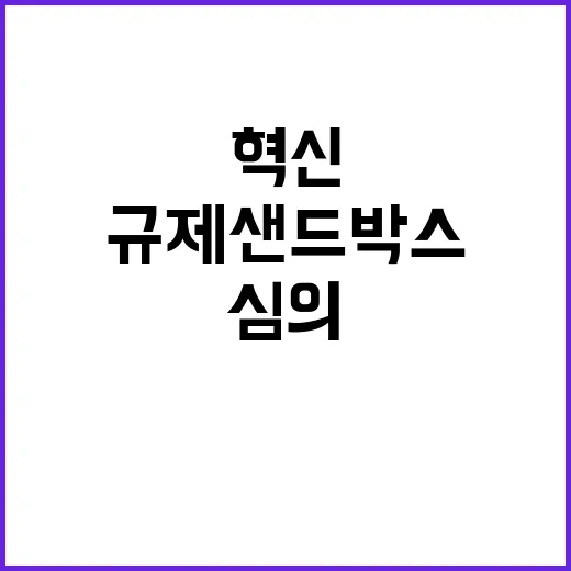 규제샌드박스, 심의…