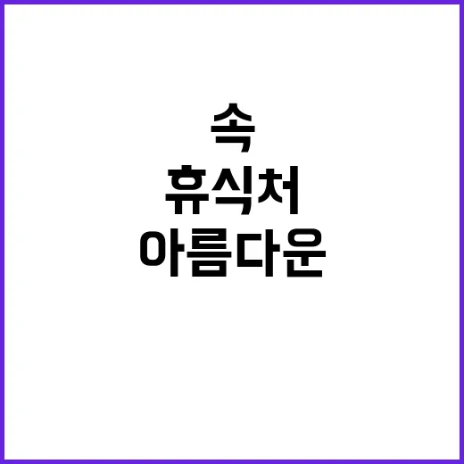 도시숲 비밀 도심 …