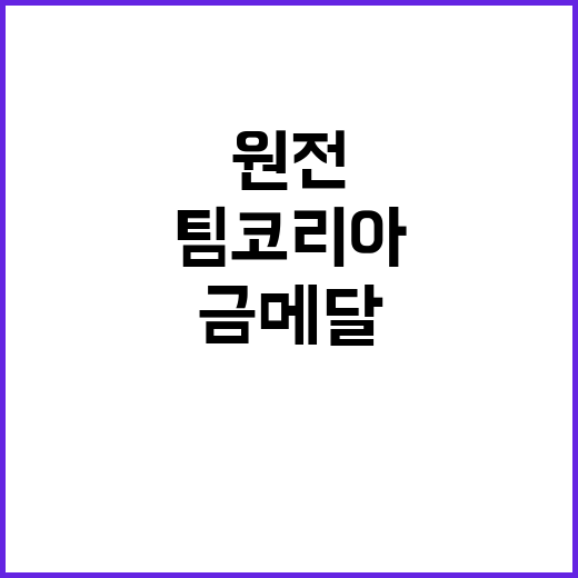 원전 금메달, 팀코…