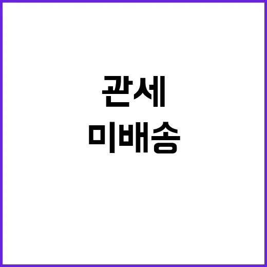 관세법 위반? 미배…