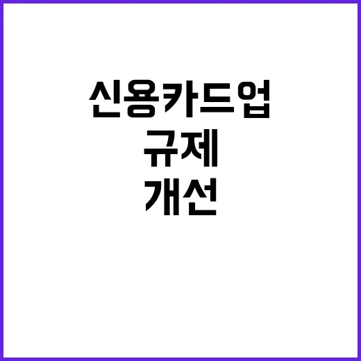 금융위 신용카드업 규제 개선 미확정 소식!