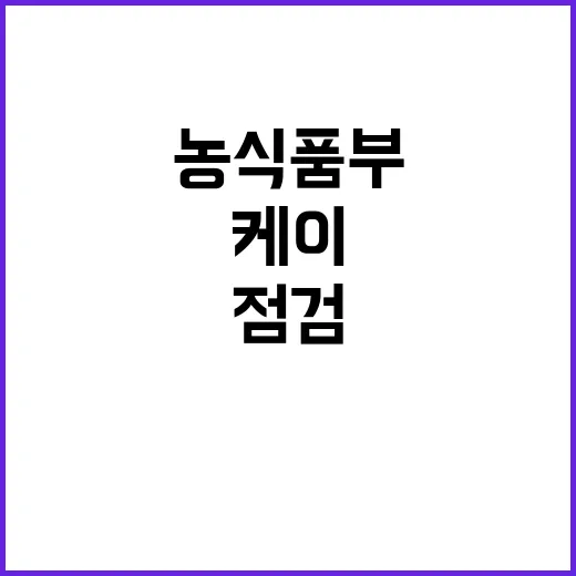 케이푸드 모방품 농…