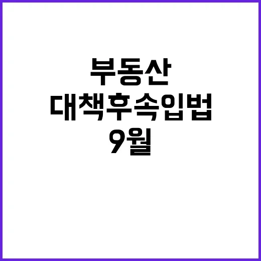 부동산 대책 후속입법 9월 발의 예상!