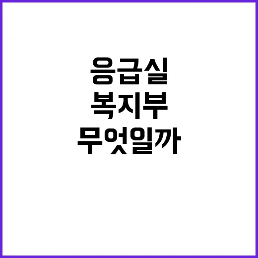 응급실 이용 불편 …