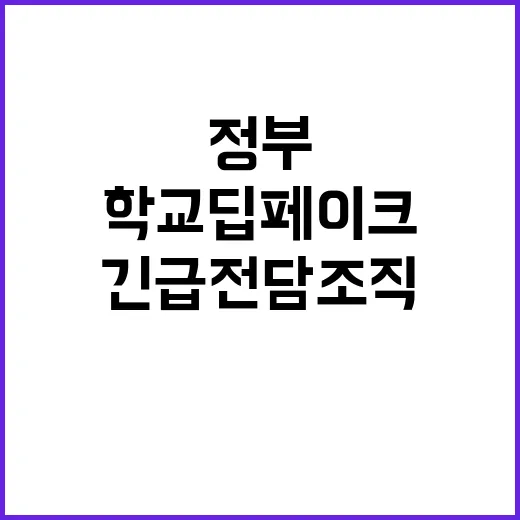 학교 딥페이크 정부 긴급 전담조직 구성 결정!