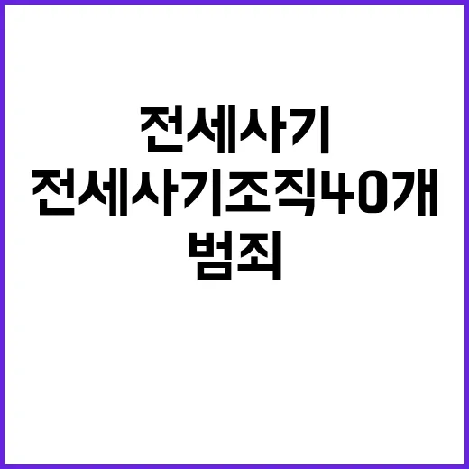 전세사기 조직 40개 적발 범죄집단 15곳 처벌!