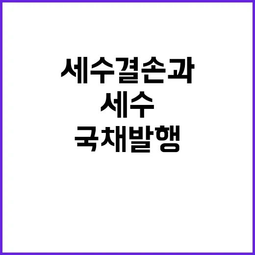 국채 발행 세수 결손과 전혀 무관한 이유!