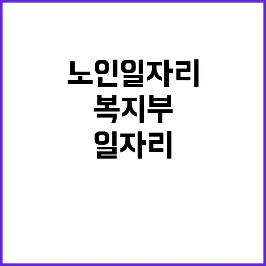 양질의 노인일자리 …