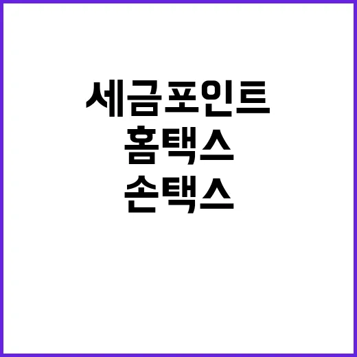 세금포인트 홈택스와 손택스에서 쉽게 찾기!