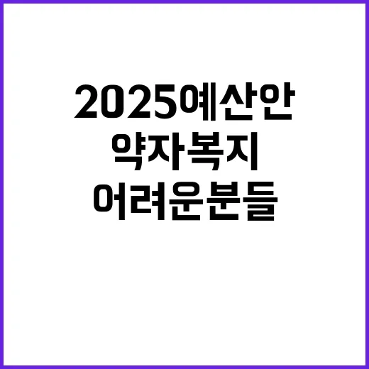 2025 예산안 어려운 분들과 약자 복지의 내일!