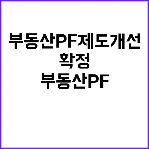 부동산 PF 제도 …