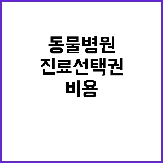 비용 공개 동물병원에서 진료 선택권 확대!