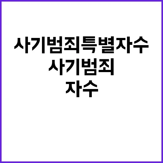 사기범죄 특별 자수…