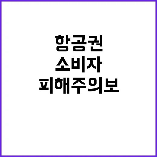 ‘항공권’ 피해주의…