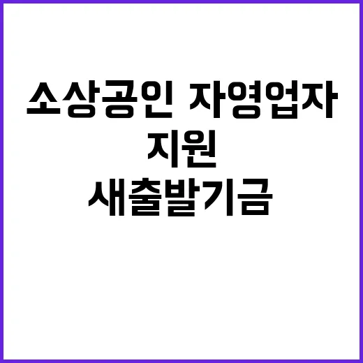 새출발기금 소상공인…