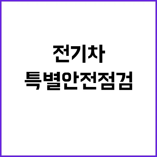 전기차 특별안전점검…