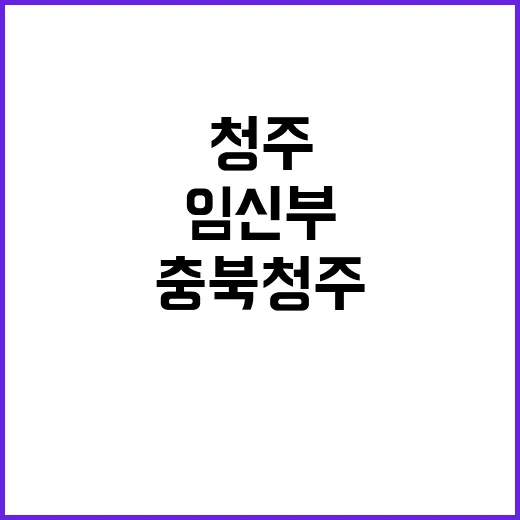 임신부 안정상태 유…