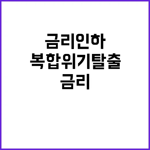 금리 인하 글로벌 …