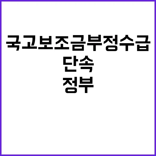 국고보조금 부정수급…