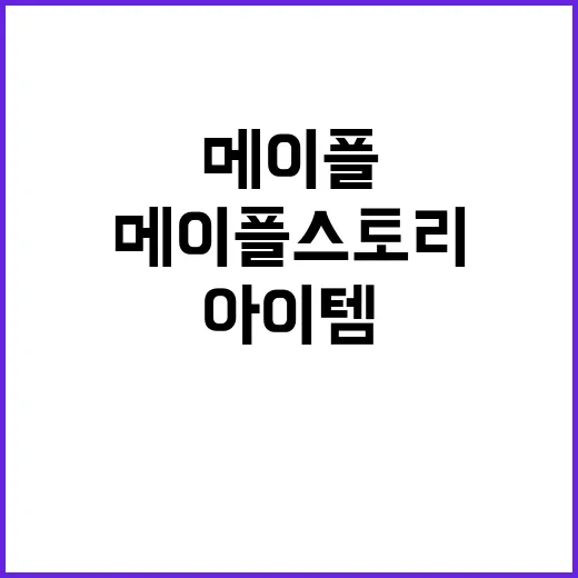 아이템 보상 메이플…