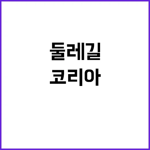 코리아둘레길 최적 코스 4선 공개!