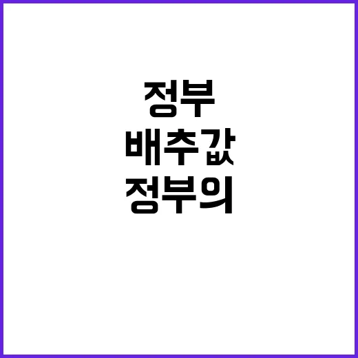 배추값 할인 정부의…