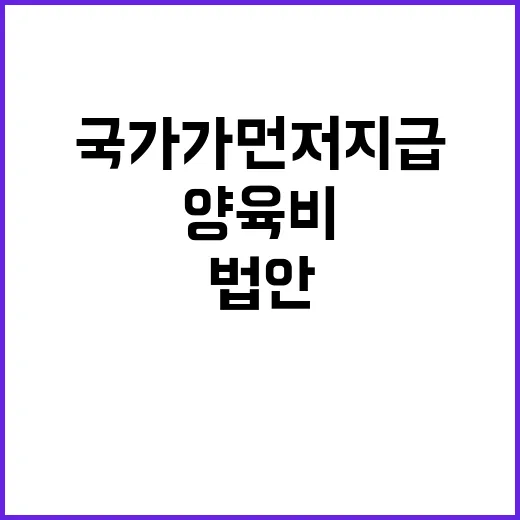 양육비 국가가 먼저…